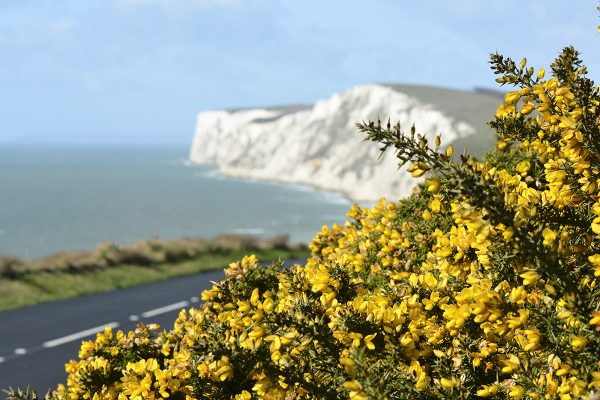 Freshwater Bay, Tennyson Down and Military Road